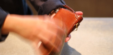 leather maintenance/wallet